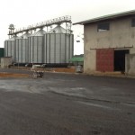 EG Farm processing 2