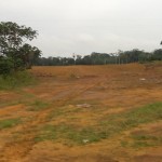 new pig space